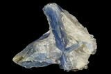 Vibrant Blue Kyanite Crystals In Quartz - Brazil #118860-1